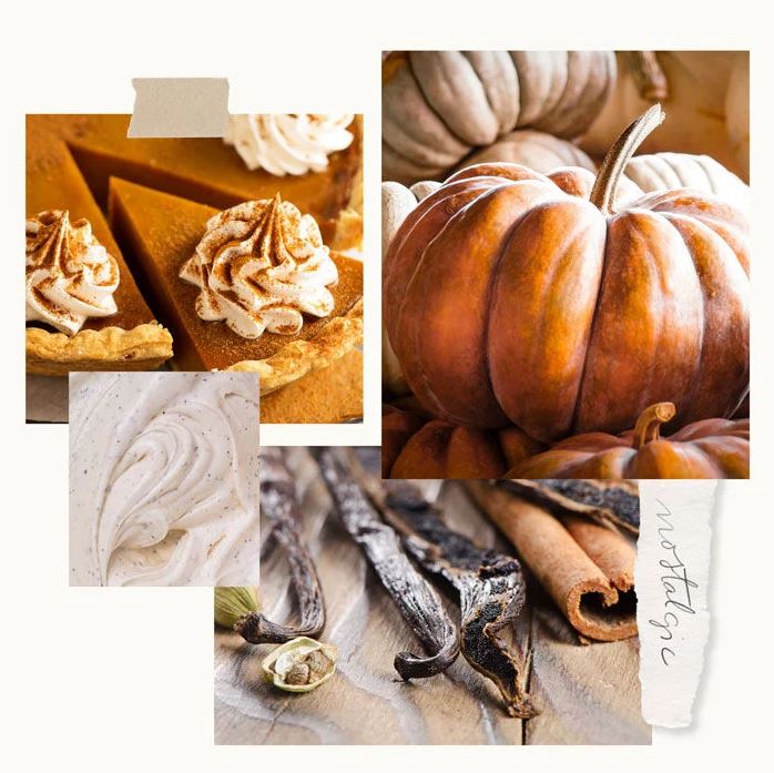 Thymes Pumpkin Laurel