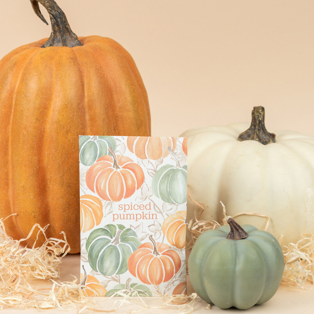 Willowbrook Fresh Scents Large Sachet - Spiced Pumpkin